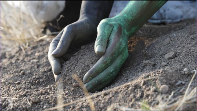 Vineas Salutis: Vineyards of Salvation