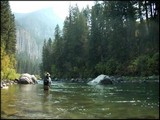 Fly Fishing is a Joke (alt title: The Weekly Fly)