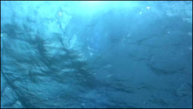 The Ocean and You