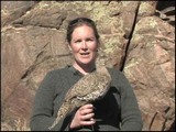 Videos to Train NPS Staff: The Gunnison Sage Grouse