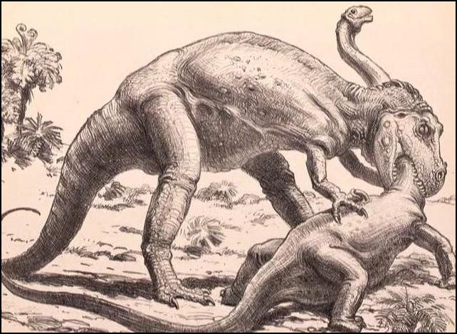 Videos to Train NPS Staff: The Paleontology of the Black Canyon of the Gunnison