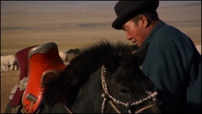 The Mongolian Marmot