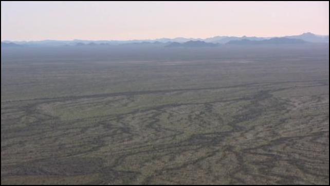 Desert Odyssey: A Search for the Final Resting Place of Edward Abbey