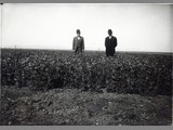 Alfred Atkinson and Unidentified Man Standing in Field, 1911