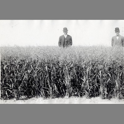 Alfred Atkinson Standing in Field