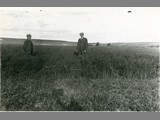 Alfred Atkinson in Field, Scenic View