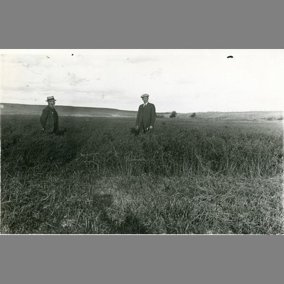 Alfred Atkinson in Field, Scenic View