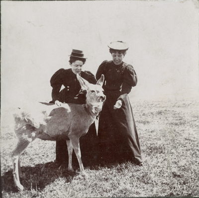 Two Women and Deer, c. 1895