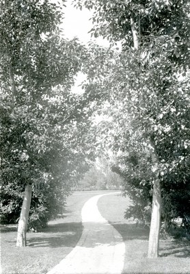 A pathway through Montana State College Campus