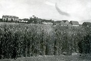 Montana State College Campus, 1914