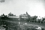 Freight Wagons and Montana Hall, 1898