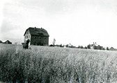 Taylor Hall, view from a field, 1900