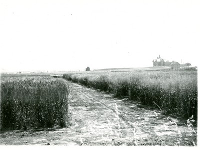 View of Montana State College Campus from a Distance