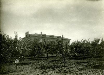Agriculture Building, from fruit orchard