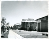 Students walking toward the north entrance of the MSC Library, 1950