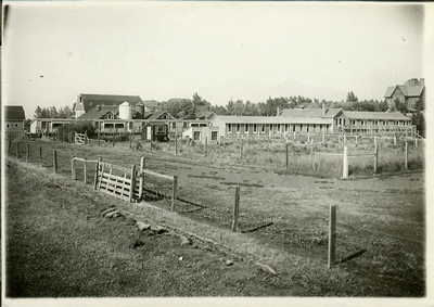 Poultry office and supply buildings