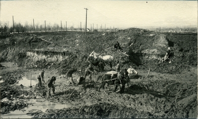 Excavation of dirt for the construction of Roberts Hall, 1922