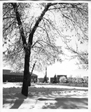 Library, heating plant, and physics building in snow