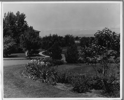 View from Iris Garden looking west