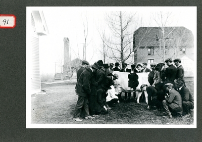Veterinary Demonstration with cow and students
