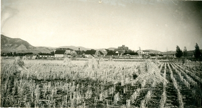 Campus seen from the Experiment Station grain field, 1912