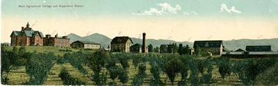 "Montana Agricultural College and Experiment Station" post card, 1910