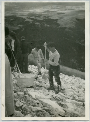 Students whitewashing the