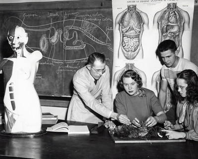 Students dissect a cat at Montana State College Class