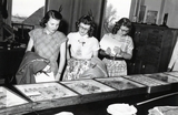 Three students observe insect collections during high school week.