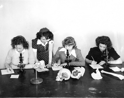 Four students working with skulls during High School Week