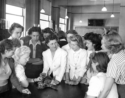A group of students dissect a cat during High School Week