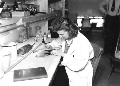 A young woman measures small animals during High School Week