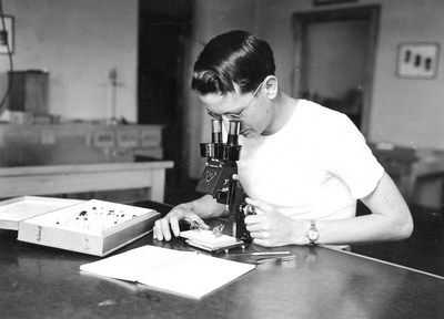 A student using a microscope during High School Week