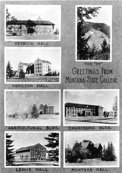 Montana State College Card, 1933