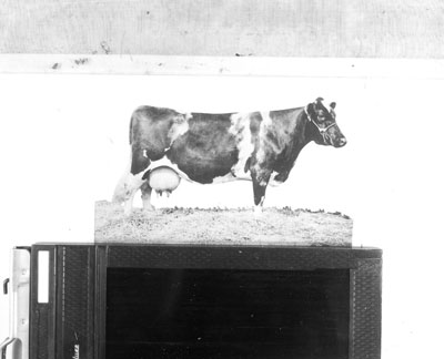 Grace Konigen (Holstein)