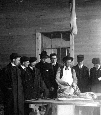 Meat Cutting Demonstration by W.O. Bohart, 1906