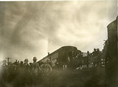 Better Livestock Special train