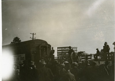 People viewing a steer for sale on a flatcar of the Montana Better Livestock Special Train