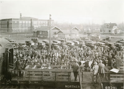 Crowd at the Better Livestock Special