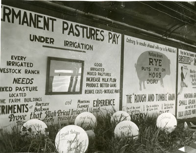 Advertisement for the Better Farming Special