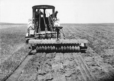 Man rolling out a new field, part of the M.L. Wilson flax series, 1912