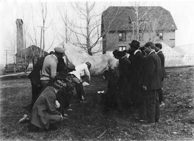 Men gather around to watch a veterinary demonstration.
