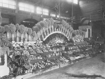 Extravagant exhibit of produce and grains at the Montana State Fair