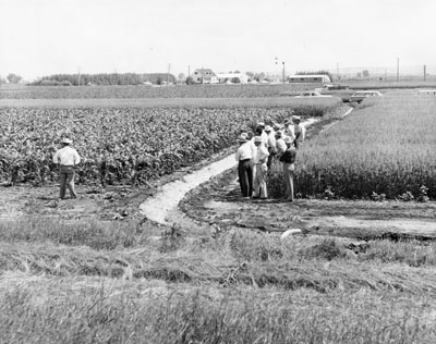 Group of men at field day at the Sidney experiment station.