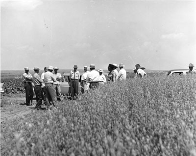 Group of men touring the Sidney experiment station.
