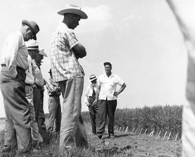 Group of men looking at experimental crops at the Sidney experiment station.