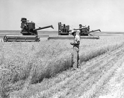 Man standing in front of three combines at the Moccasin experiment station.