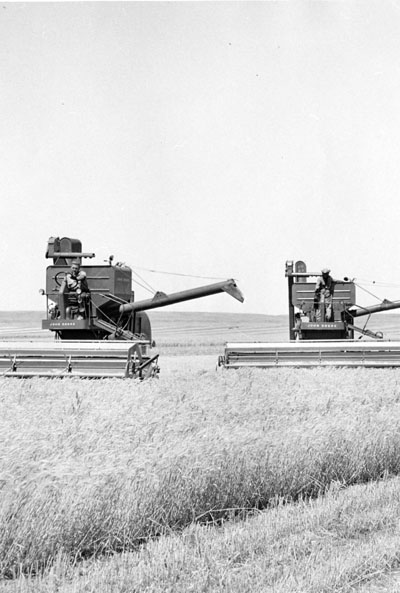 Two combines at Branch Station, Moccasin