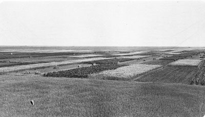 A postcard of Judith Basin, Moccasin County, 1911
