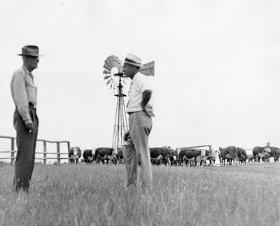 U.S. Range Livestock Branch, Miles City